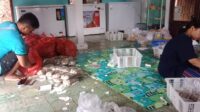 IMG-20240319-WA0004