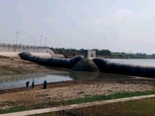 Sungai Juwana Mengering Imbas Musim Kemarau Panjang, Jutaan Ikan Sapu-sapu Muncul ke Permukaan