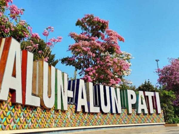 Pemkab Pati Siapkan Ratusan Bibit Pohon Tabebuya bagi Warga Pengunggah Views Alun-alun Simpang Lima